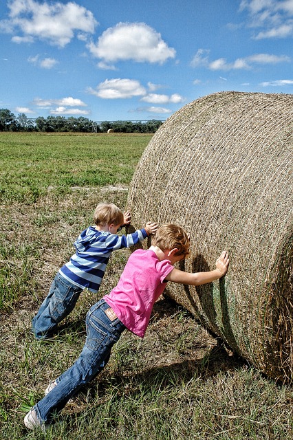 Team work, farm